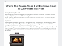 What's The Reason Wood Burning Stove Small Is Everywhere This Year
