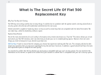 What Is The Secret Life Of Fiat 500 Replacement Key