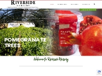 Home - Riverside Nursery - Wholesale commercial Pomegranate + Pecan