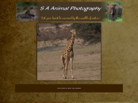 S A Animal Photography