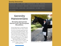 Serenity Hanoverians