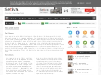 Tabs and Columns - Setiva Blogger Template