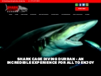 Shark Cage Diving Durban | Cage Dive or Snorkel with Sharks on Aliwal 