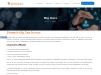 Shineteck Inc | Big Data Services