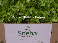 Sneha Nursery   Farmer Friendly, World-Class Seedlings