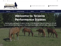 Salmon Arm Horse Boarding and Lessons | Teixeira Performance Stables