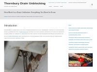 How Much Is a Drain Unblocker: Everything You Need to Know   Thornbury