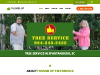 Tree Service in Spartanburg SC | Tree Service in Greenville | Tree Rem