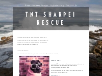 TnT Sharpei Rescue Mission BC