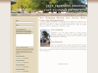 Tree Trimming Phoenix | 602-507-7738 | Arizona Tree Service