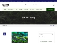 Blog | Urbnz Genetics Medical Marijuana Clones