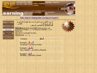 Egypt Institutefor Arabic and Quran| Learning Quran Online|Arabic  Onl