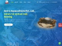  Vertical mud crab farming | Mud crab aquaculture | Crab farming box