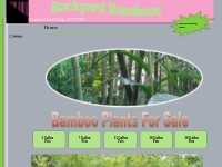 Backyard Bamboos *** Bamboo Plants For Sale***
