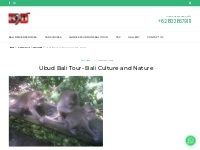 Ubud Bali Tour- Bali Culture and Nature | Bali Driver | Explore the be