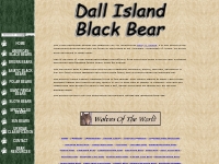 Dall Island Black Bear - Ursus americanus pugnax - Bears Of The World
