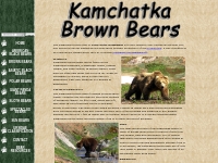 Kamchatka Brown Bear - Ursus arctos beringianus - Bears Of The World