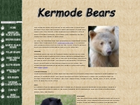 Kermode Bears - Bears of the World