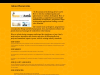 Web Design Company | About BeeSnAntS.com Web Design   Development in N