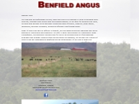 Benfield Angus -- Breeding Maternally Oriented, Balanced Trait, Heavy 