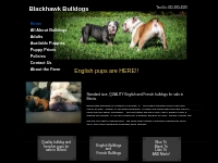 Blackhawk Bulldogs | McNabb, IL 61335
