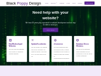 Website Design, Development in West Sussex, United Kingdom - Black Pop