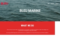 Bleu Marine