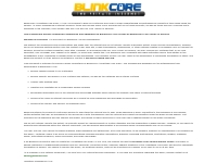 BlinkCore -  Acceptable Use Policy