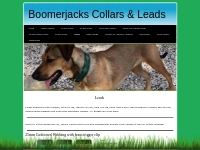 Boomerjacks Leads   Collars