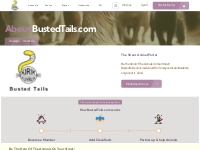 BustedTails.com   About Us   The Street Animal Portal in Turkey