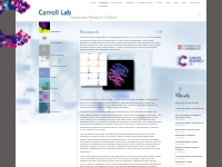   	Carroll Lab Cambridge Research| Cambridge Research Institute | Canc