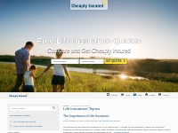 Free Life Insurance Quotes and Information - Cheaply Insured