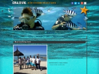 Coral Diving - About Coral Diving Centre (PADI Certified Scuba Diving 