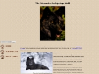 Wolves Of The World - Alexander Archipelago Wolf - Canis lupus ligoni