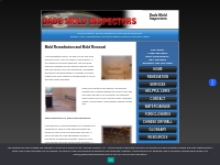 Mold Remediation Miami FL | Mold Removal in Florida: Dade Mold Inspect