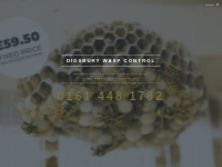 Didsbury Wasp Control £59.50 fixed price Wasps Nest Removal Treatment
