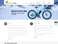Affordable and Cheap Electric Bicycle, Stylish Electric Fat Tire Bike