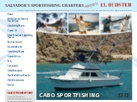 Cabo Fishing Charters Boats