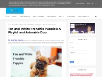  Tan and White Frenchie Puppies: A Playful and Adorable Duo