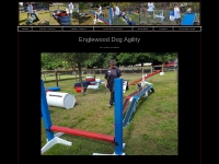 Englewood and South West Florida Dog Agility Training Dog Training Eng