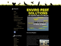 Pest Control Brighton by Enviro Pest Solutions