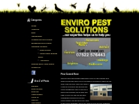 Pest Control Kent | Enviro Pest Control