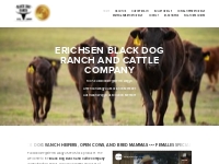 Erichsen Black Dog Ranch and Cattle Company