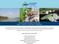 Essential Ponds | Pond Design & Construction | Suffolk