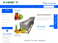 Vegetable Washing Machine-Everfit Food Machine
