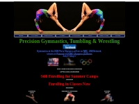 Welcome to Precision Gymnastics & Tumbling located in Richardson, TX. 