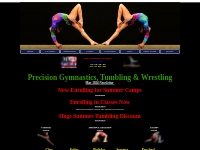Welcome to Precision Gymnastics & Tumbling located in Richardson, TX. 