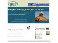 Fishing | Pros  | Bait Rigs | Walleye  |  Bass | Muskie