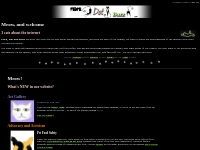 Flick Dot Buzz . com - Website for cats and cat lovers