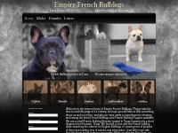 French Bulldog Breeders - French Bulldog Puppies In Texas - Frenchies